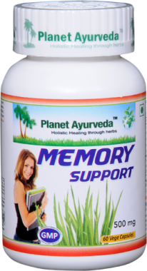 MEMORY SUPPORT